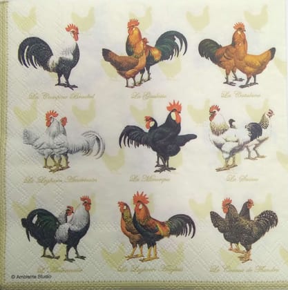 Decoupage Napkin / Tissue papers - GT1963