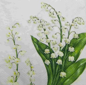 Decoupage Napkin / Tissue papers - GT1720