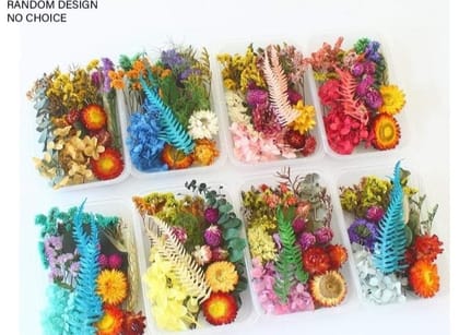 Brand Zero Real Dry Flowers - Random box, No selection