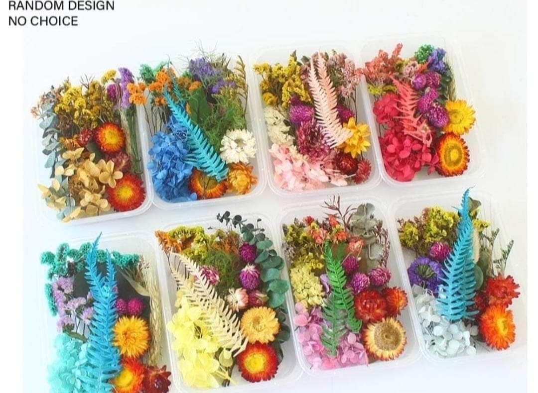 Brand Zero Real Dry Flowers - Random box, No selection