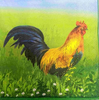 Decoupage Napkin / Tissue papers - GT1997