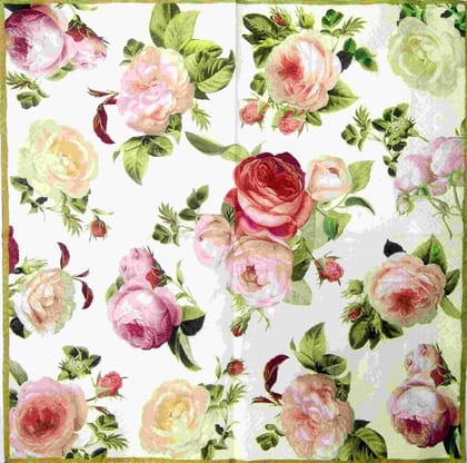 Decoupage Napkin / Tissue papers - DGT1913