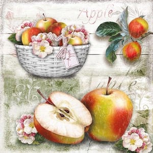 Decoupage Napkin / Tissue papers - 33cm by 33cm - GT2499