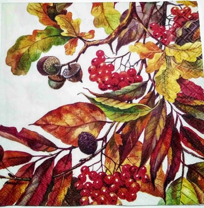 Decoupage Napkin / Tissue papers - 25cm*25cm - GT3207