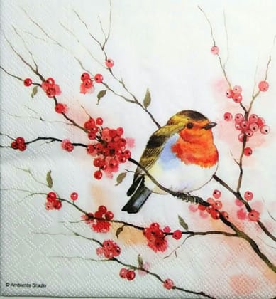 Decoupage Napkin / Tissue papers - 33cm by 33cm Birdie 1