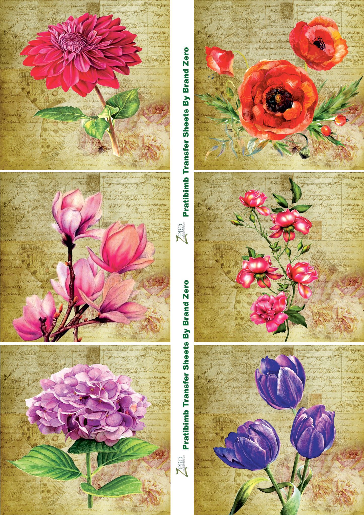 Brand Zero Pratibimb Transfer Sheets - Flora 2