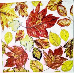 Decoupage Napkin / Tissue papers - 25cm*25cm - GT3195