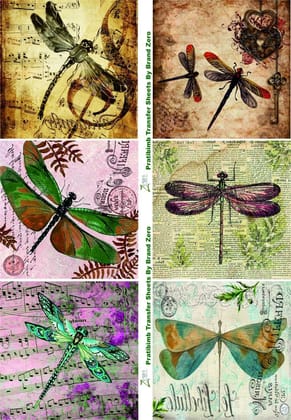 Brand Zero Pratibimb Transfer Sheets - Vintage Drangonfly