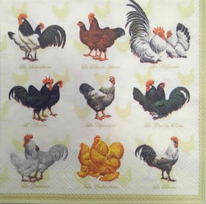 Decoupage Napkin / Tissue papers - GT1963