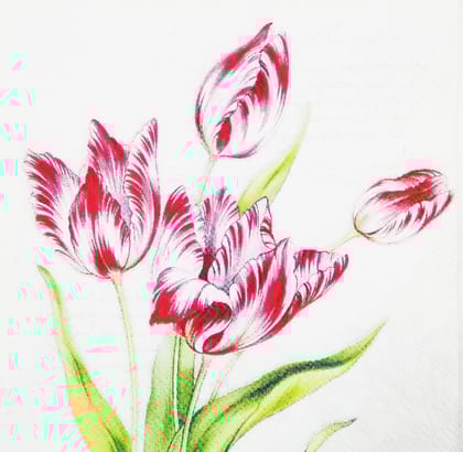 Decoupage Napkin / Tissue papers - 33cm by 33cm - GT1105