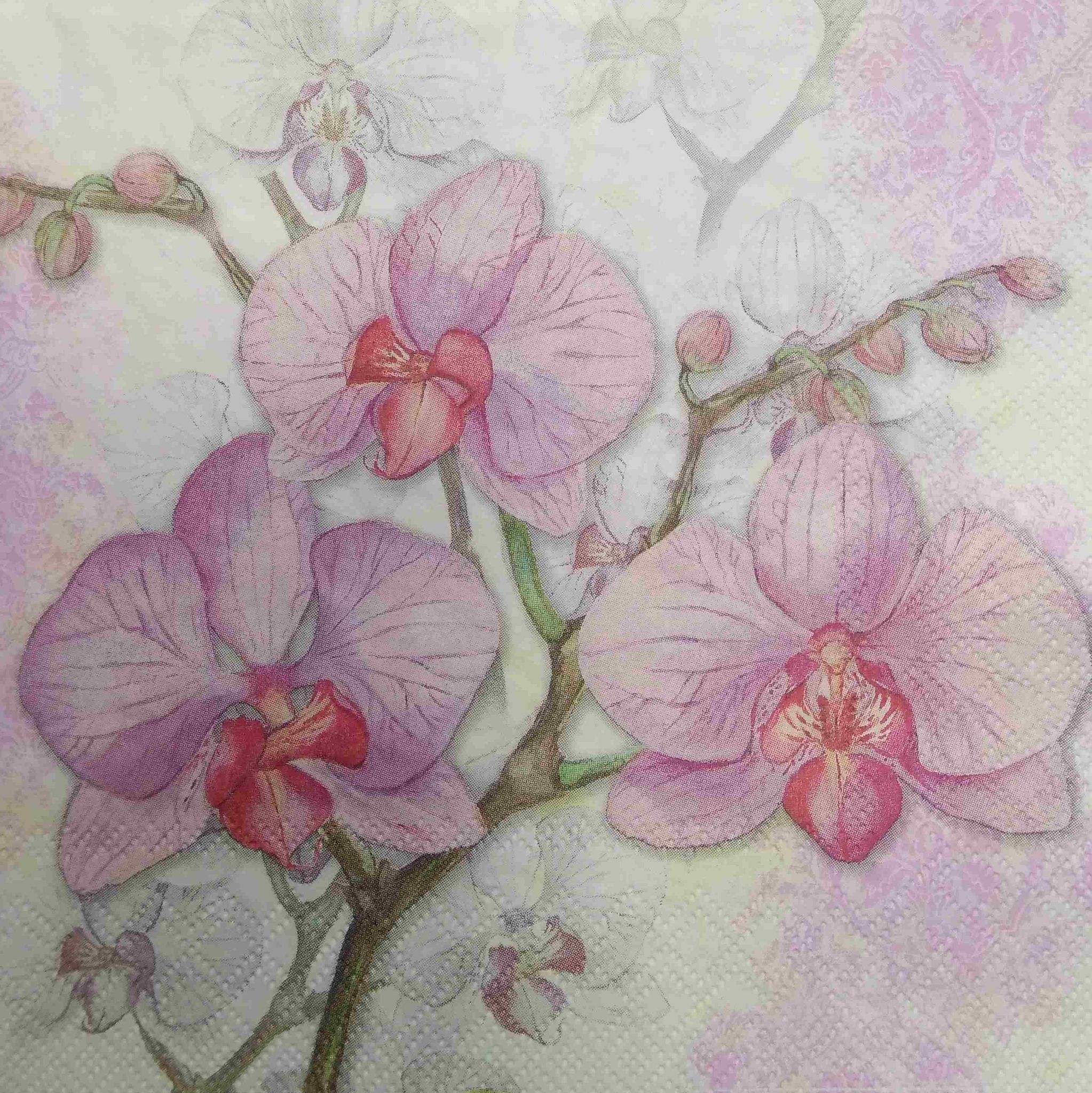 Decoupage Napkin / Tissue papers - GT1959