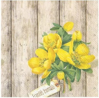 Decoupage Napkin / Tissue papers - 25cm*25cm - GT3145