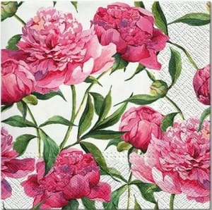 Decoupage Napkin / Tissue papers - GT2924