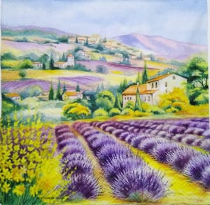 Decoupage Napkin / Tissue papers - 33cm by 33cm - Country Side