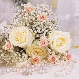 Decoupage Napkin / Tissue papers - 33cm by 33cm - GT3276