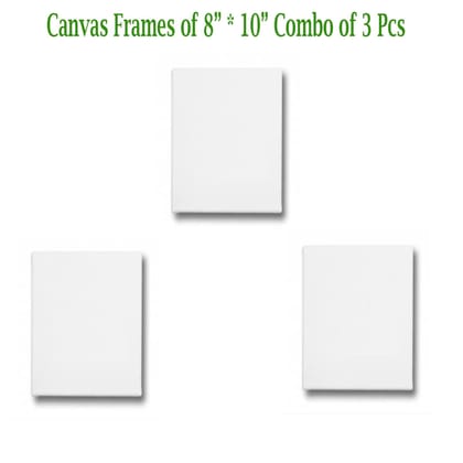 Canvas Frame 8" *10" Combo of 3 Pieces