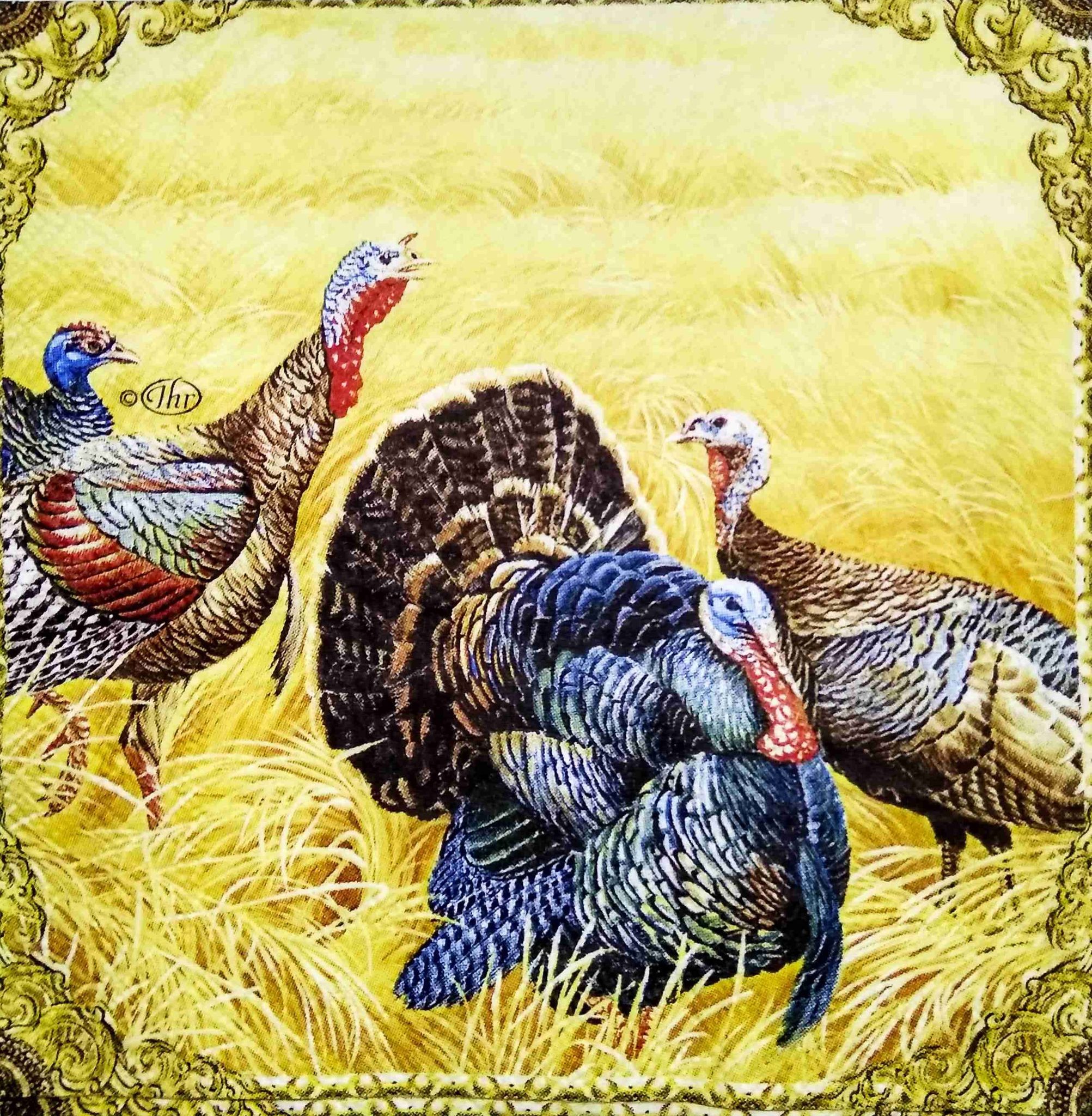 Decoupage Napkin / Tissue papers - 25cm*25cm - GT3175