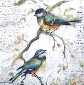 Decoupage Napkin / Tissue papers - GT2053 - 25cm*25cm