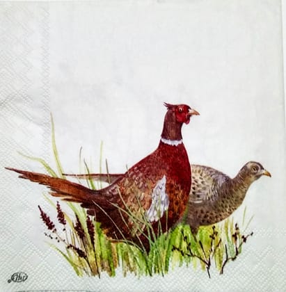 Decoupage Napkin / Tissue papers - 25cm*25cm - GT3189