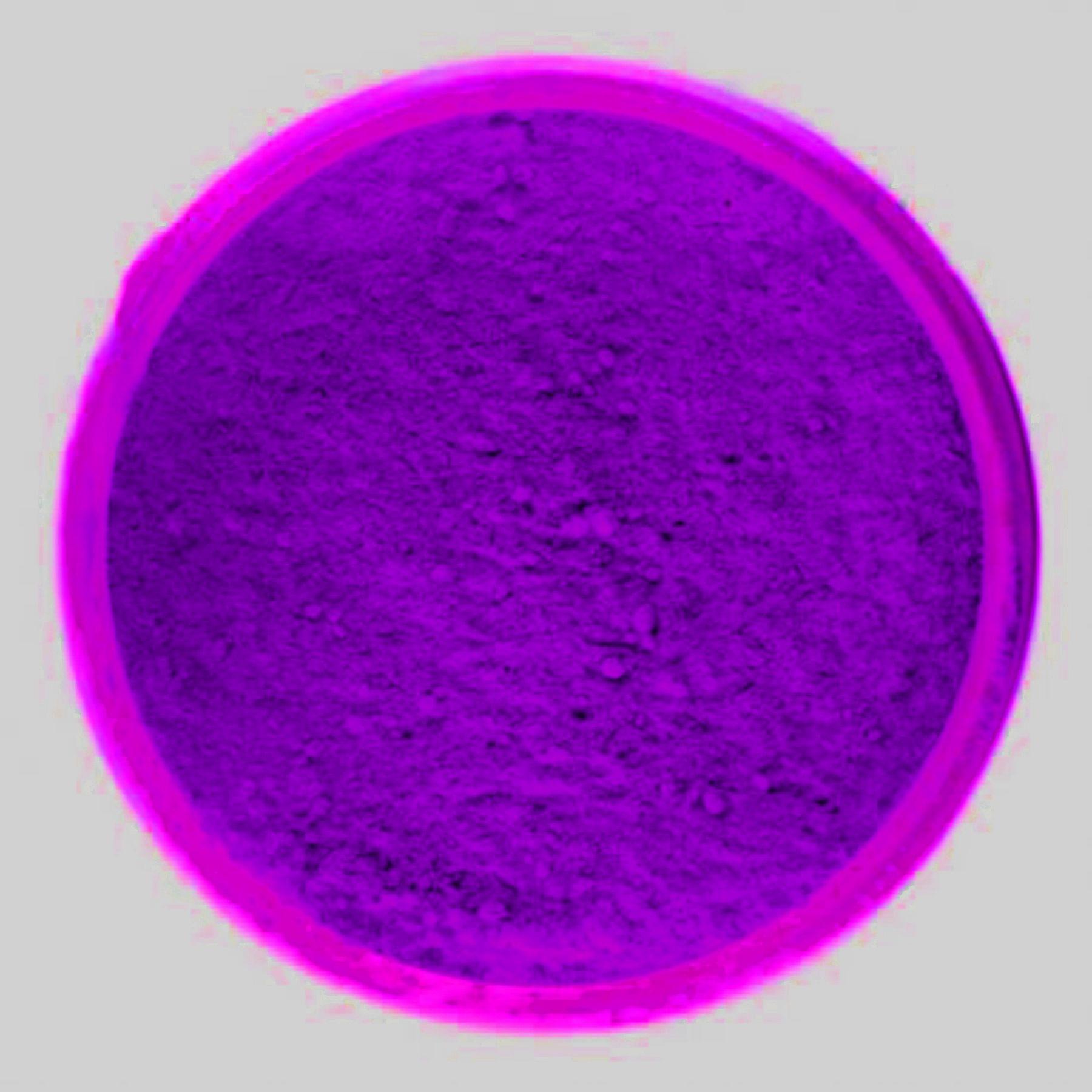 Fluorescent Color Powder - Hot Purple 15 grams Jar