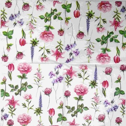 Decoupage Napkin / Tissue papers - DGT1877  (White background)