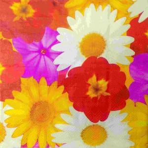 Decoupage Napkin / Tissue papers - LGT1865