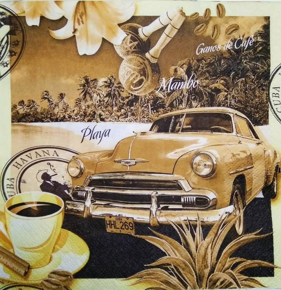 Decoupage Napkin / Tissue papers - 33cm by 33cm - GT1648