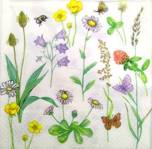 Decoupage Napkin / Tissue papers - DGT1893