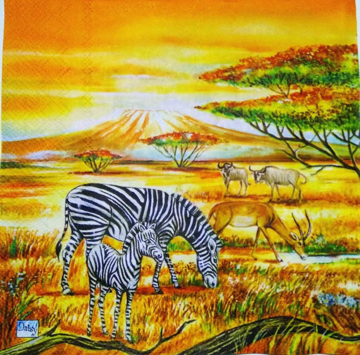Decoupage Napkin / Tissue papers - 33cm by 33cm - African Zebra