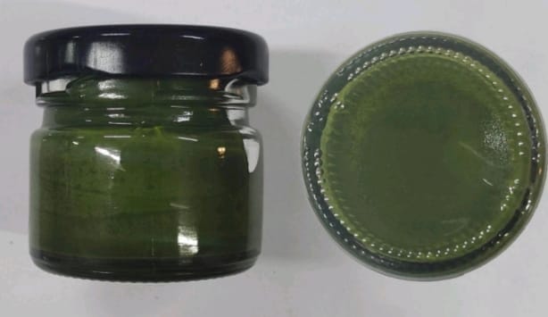 Olive Green Color - Opaque Pigment Paste 20 grams