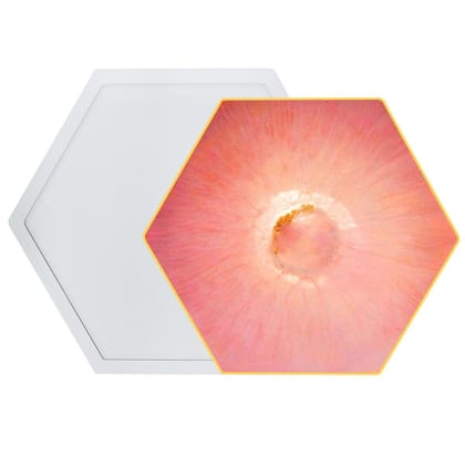 Brand Zero Resin Silicone Mould - 6 sided polygon coaster mould