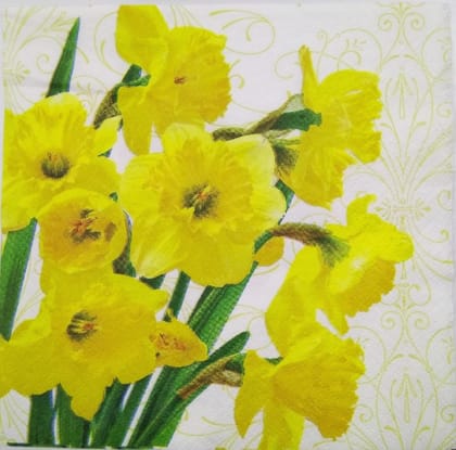 Decoupage Napkin / Tissue papers - GT1610