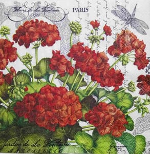 Decoupage Napkin / Tissue papers - 25cm*25cm - GT3206