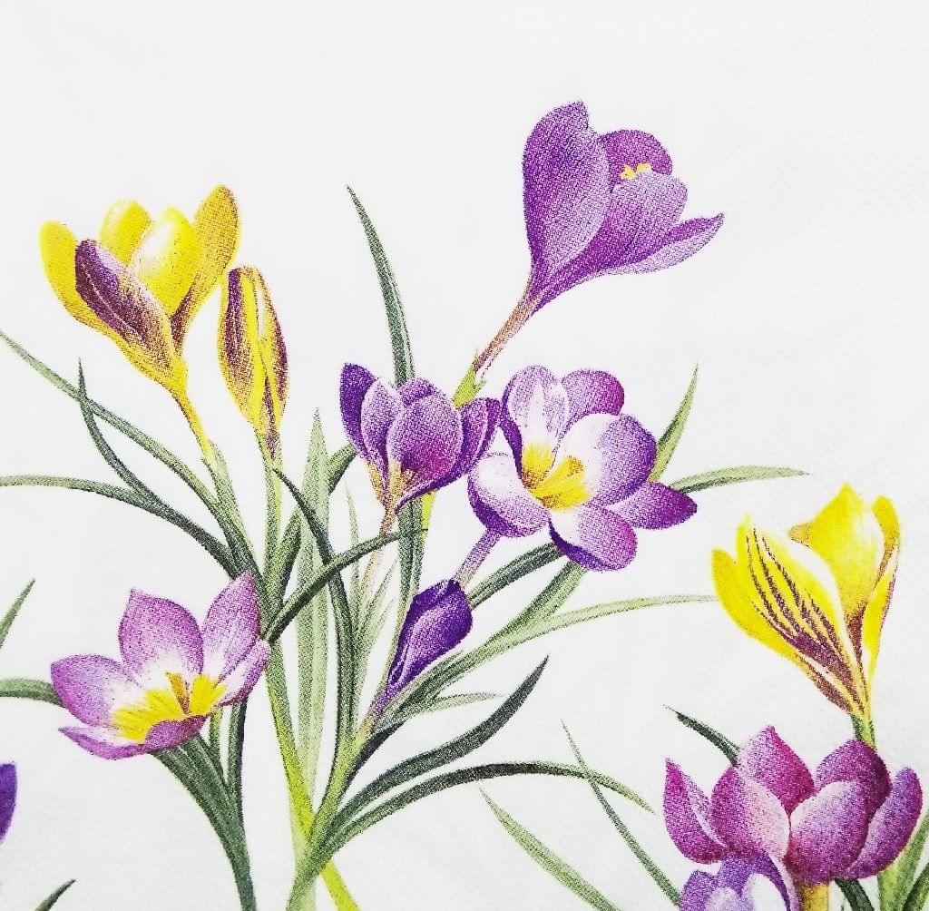 Decoupage Napkin / Tissue papers - 33cm by 33cm - GT1054