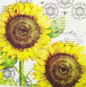 Decoupage Napkin / Tissue papers - 33cm by 33cm - GT1036