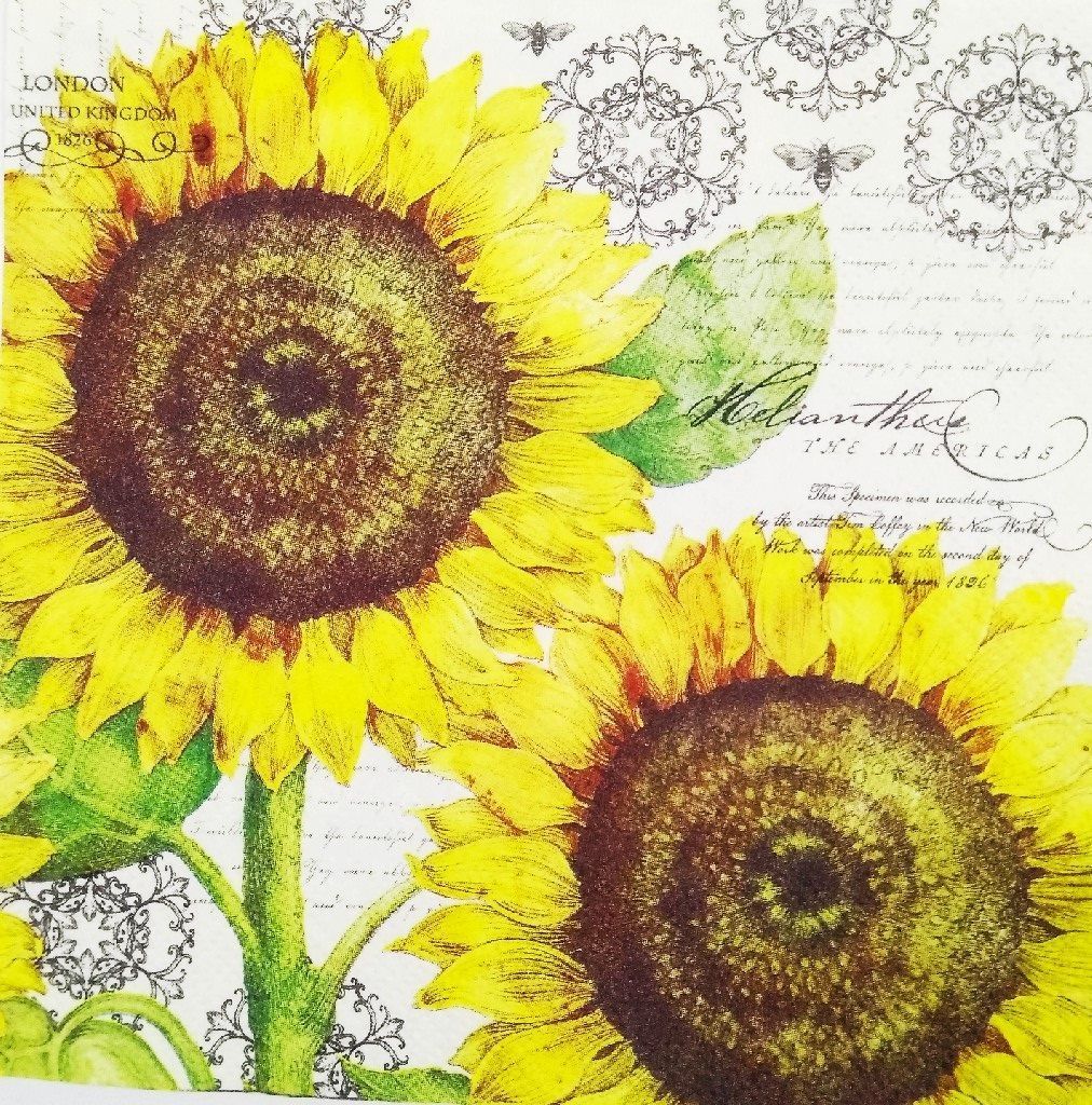 Decoupage Napkin / Tissue papers - 33cm by 33cm - GT1036