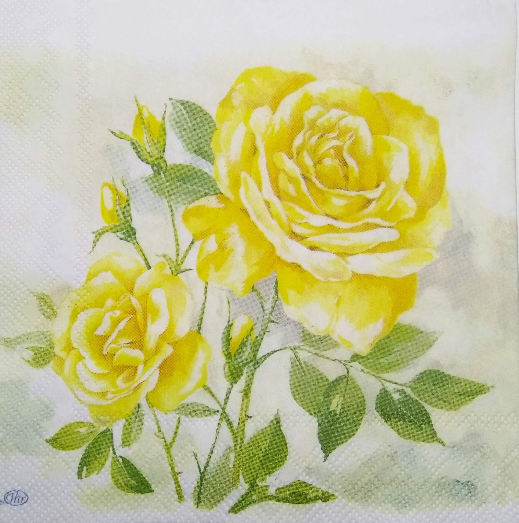 Decoupage Napkin / Tissue papers - 25cm*25cm - GT3228