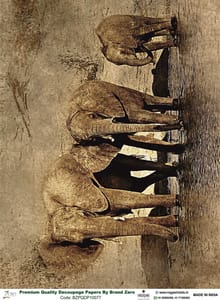 Brand Zero Premium Quality Decoupage Paper Pack of Two - Design Code: BZPQDP10077