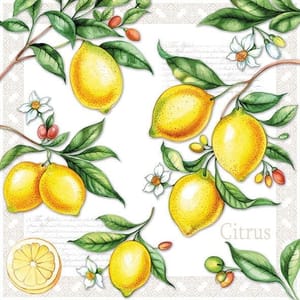Decoupage Napkin / Tissue papers - 33cm*33cm - GT1533