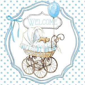 Decoupage Napkin / Tissue papers - 33cm by 33cm - GT3277