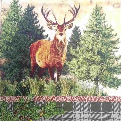 Decoupage Napkin / Tissue papers - GT1978