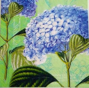 Decoupage Napkin / Tissue papers - 33cm by 33cm - Hydranzea