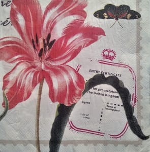 2 Ply Decoupage Napkin / Tissue papers - GT2169