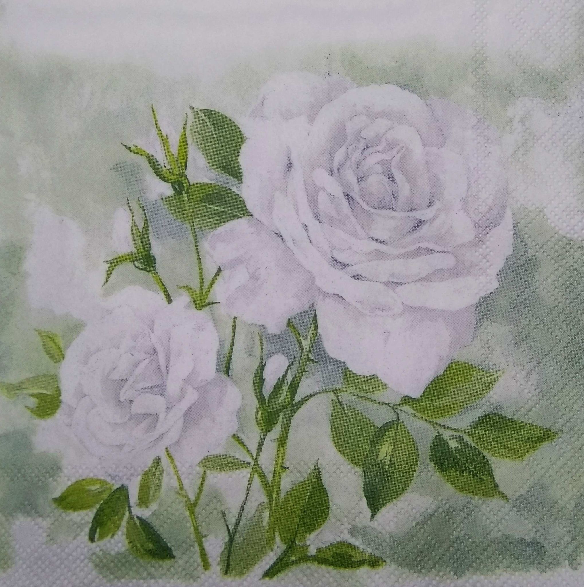Decoupage Napkin / Tissue papers - 33cm*33cm - GT3219a