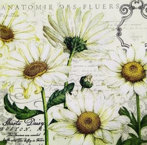 Decoupage Napkin / Tissue papers - 33cm by 33cm - GT1058