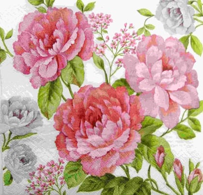 Decoupage Napkin / Tissue papers - DGT1900