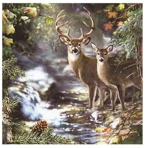 Decoupage Napkin / Tissue papers - 33cm*33cm - GT3005