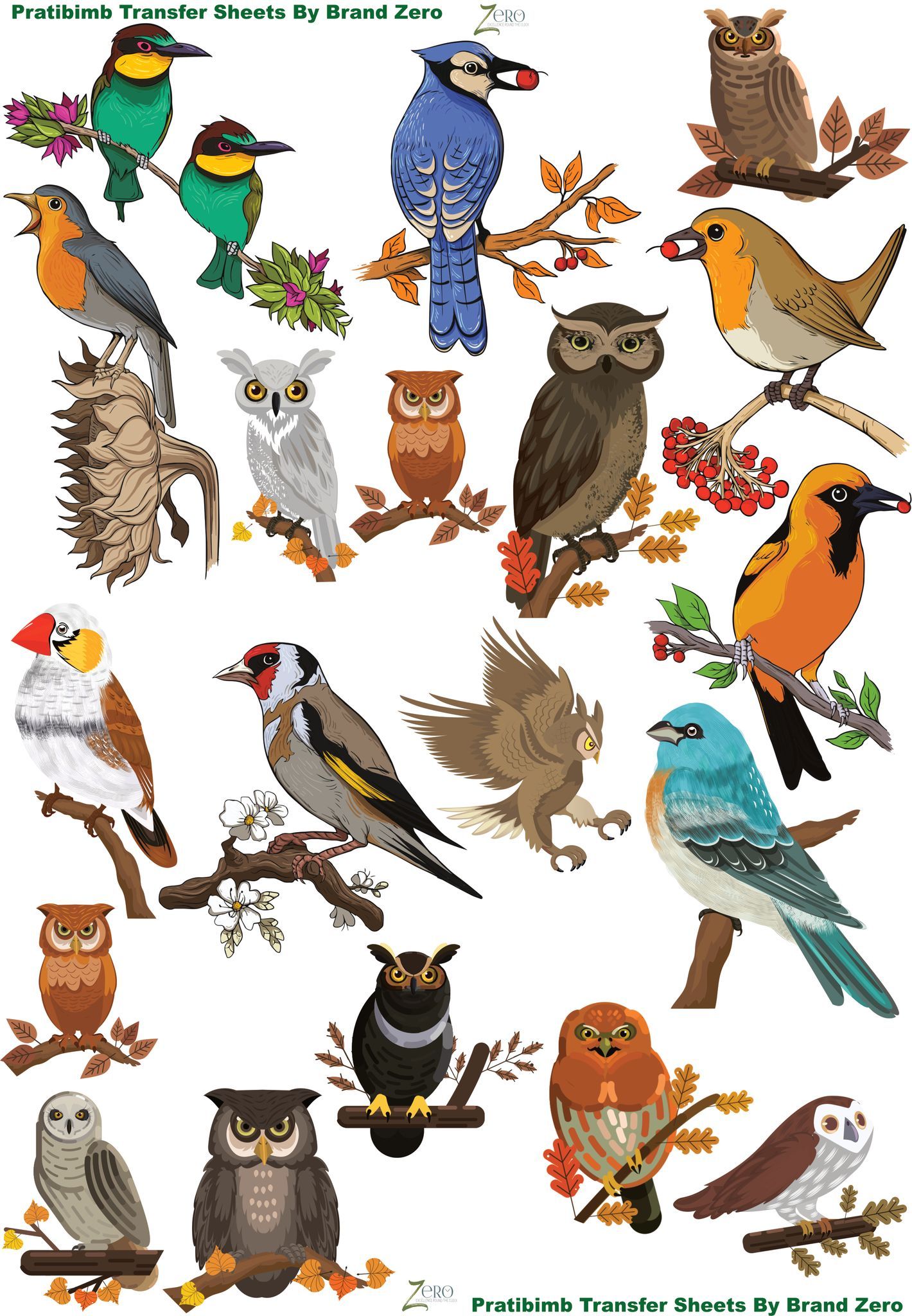 Brand Zero Pratibimb Transfer Sheets - Birdsong