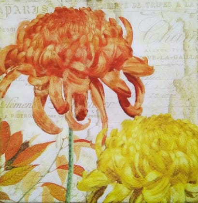 Decoupage Napkin / Tissue papers - GT1582