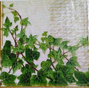 Decoupage Napkin / Tissue papers - 33cm by 33cm - Green climbers